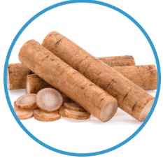 burdock burdock